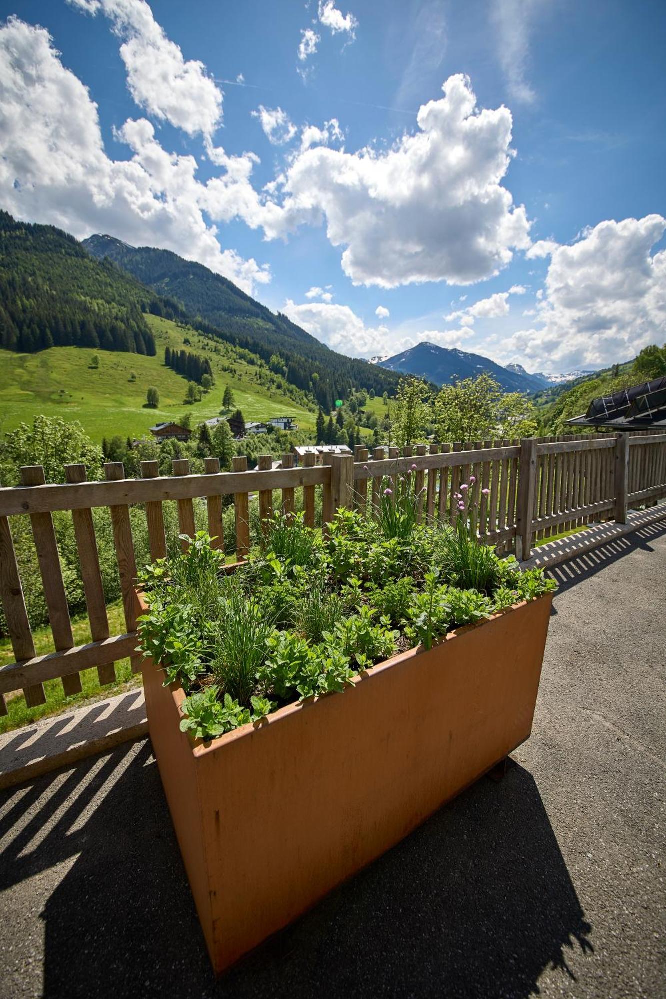 Drei Hittn Saalbach Lägenhet Exteriör bild